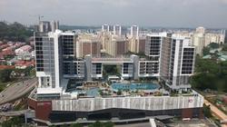 The Tennery (D23), Apartment #138522982